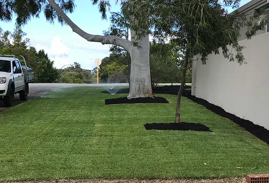 Roadside well kept and reticulated